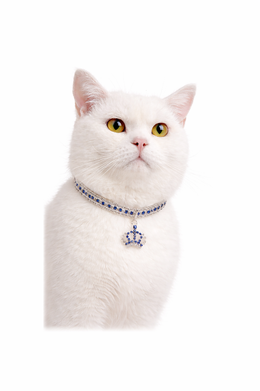 luxe halsband met kroonbede