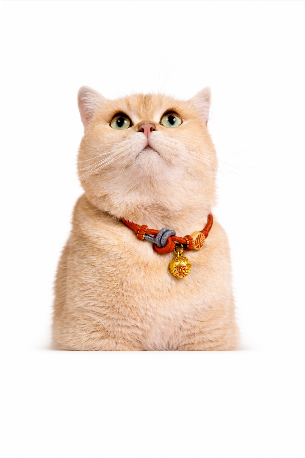 traditionele gelukarmband