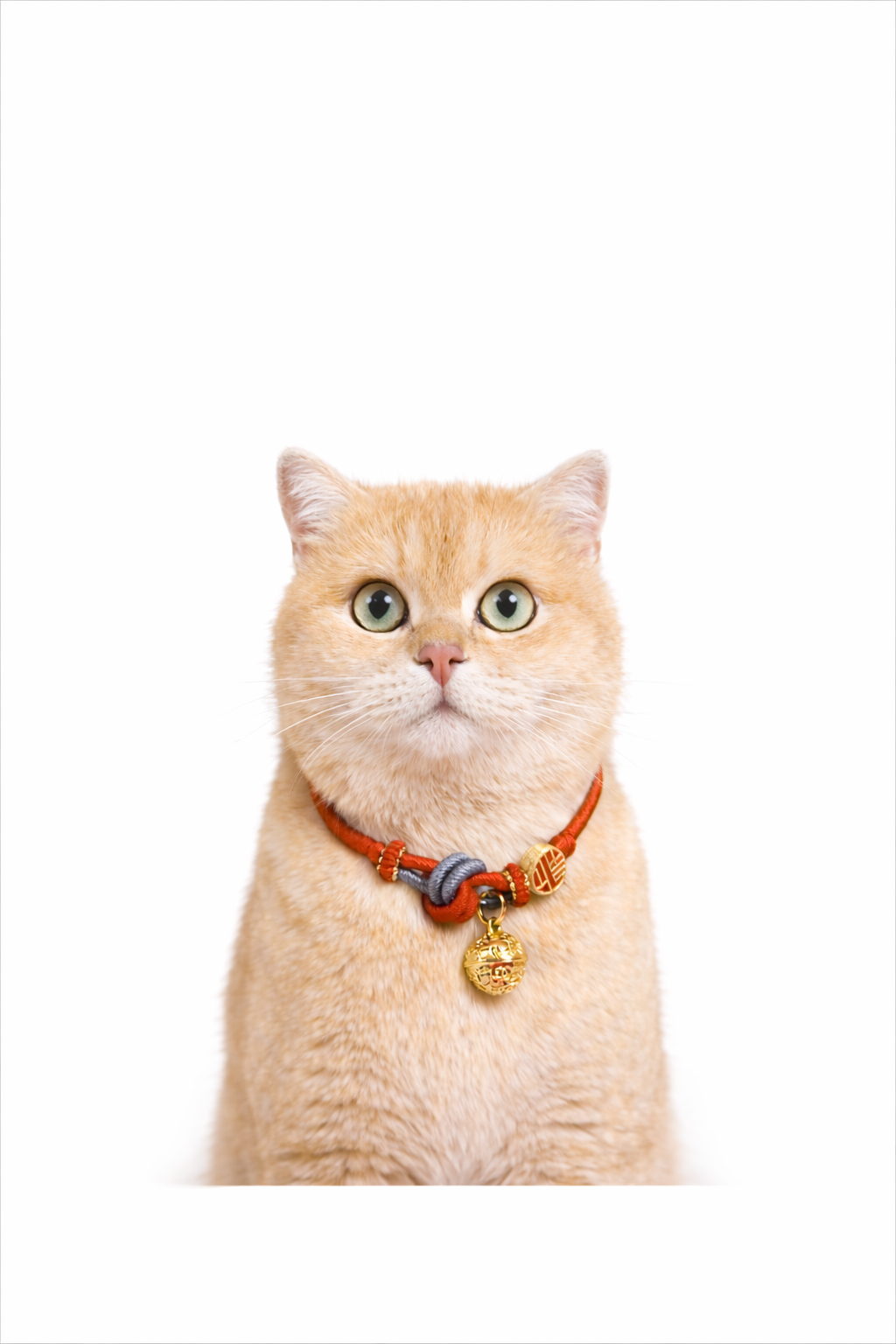 traditionele gelukarmband