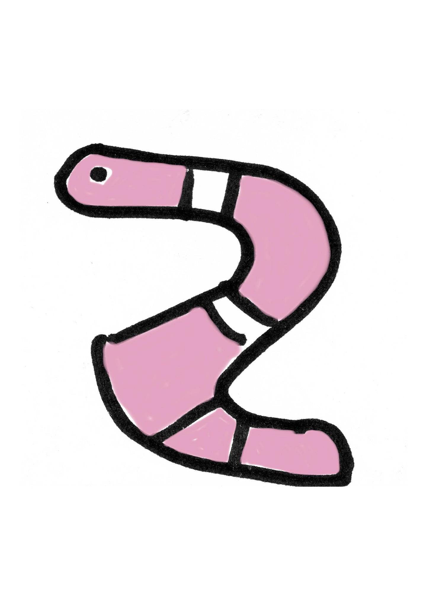 5snake