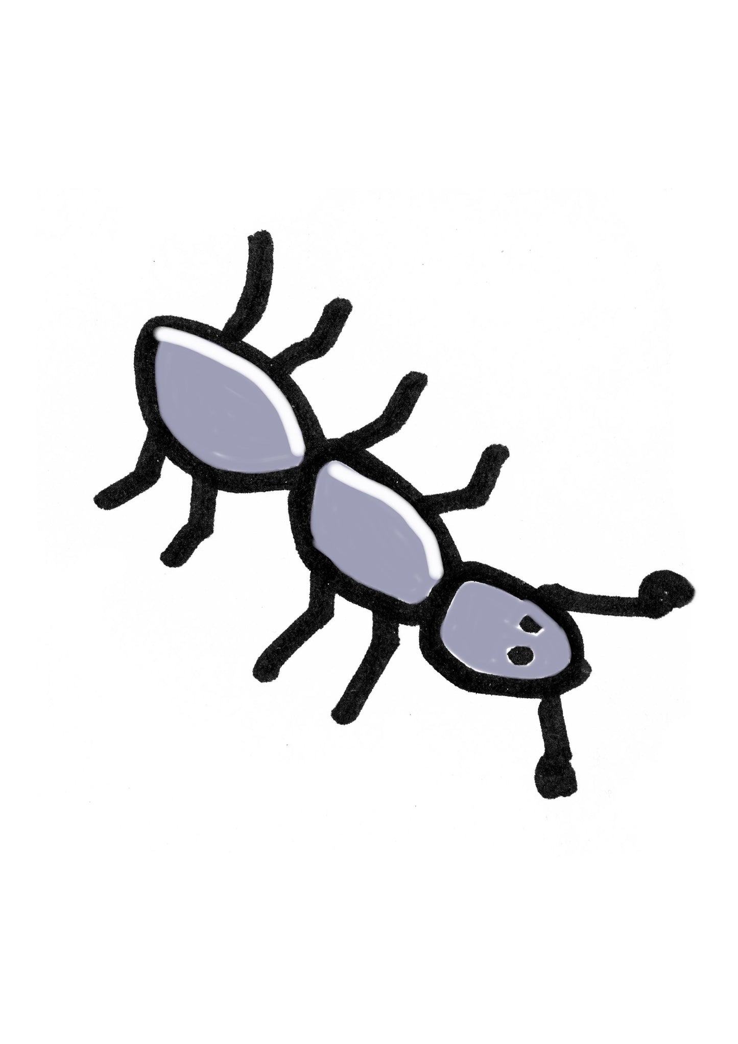 7ant