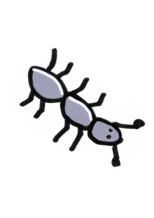 7ant