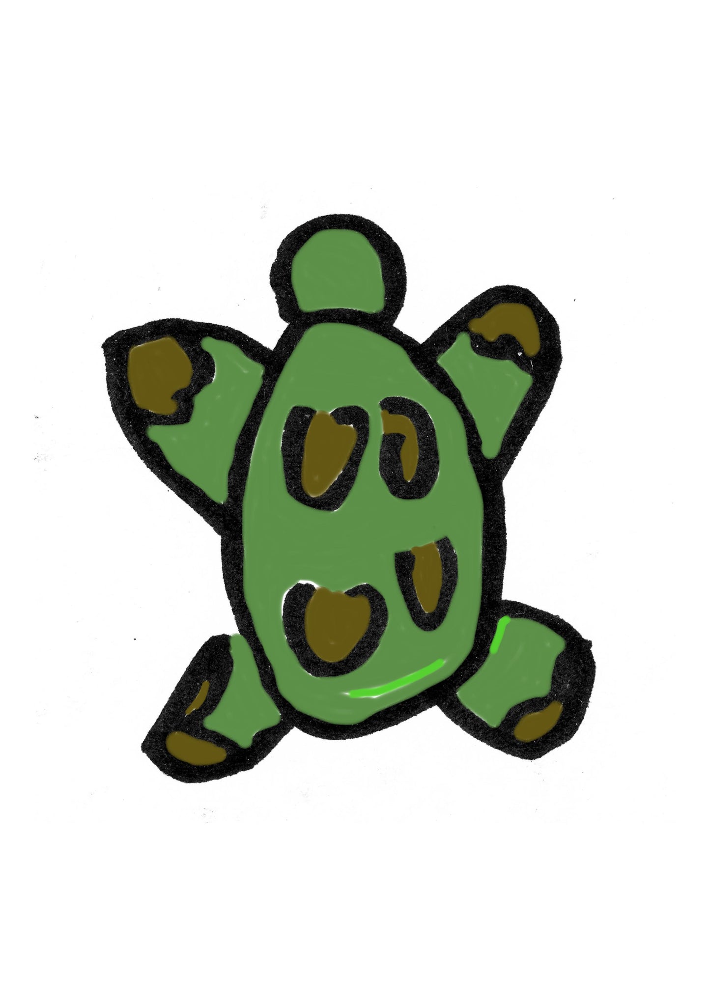 8turtle