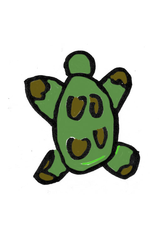 8turtle